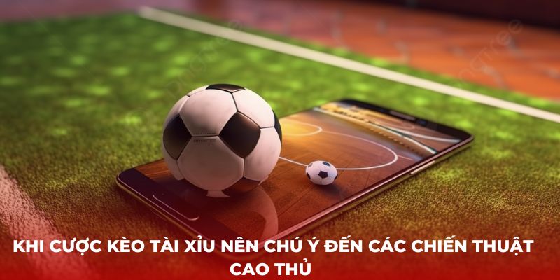 Khi cược kèo Tài Xỉu nên chú ý đến các chiến thuật cao thủ 